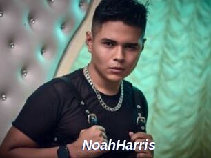 NoahHarris