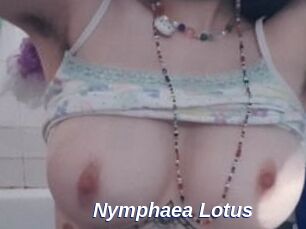 Nymphaea_Lotus