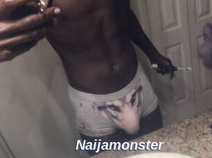 Naijamonster