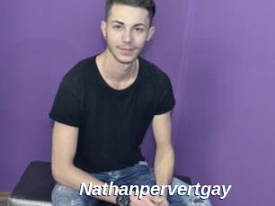 Nathanpervertgay