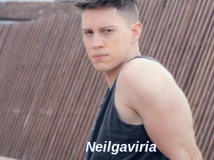 Neilgaviria