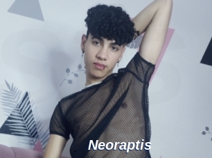 Neoraptis