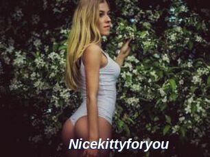 Nicekittyforyou