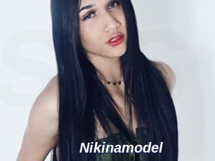 Nikinamodel