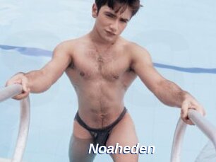 Noaheden