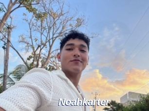 Noahkarter