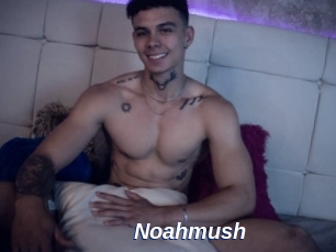 Noahmush