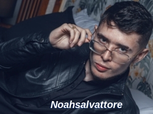 Noahsalvattore