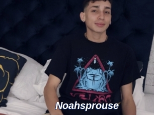 Noahsprouse