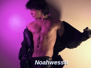 Noahwesstt