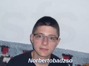 Norbertobadzso