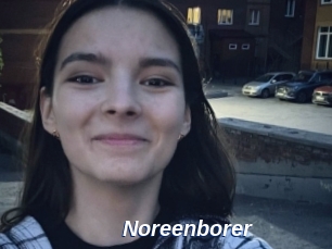 Noreenborer