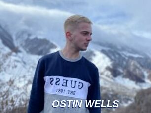 OSTIN_WELLS