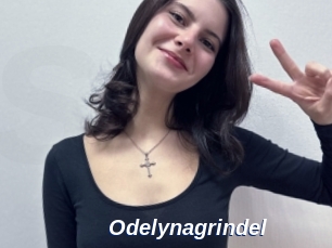 Odelynagrindel