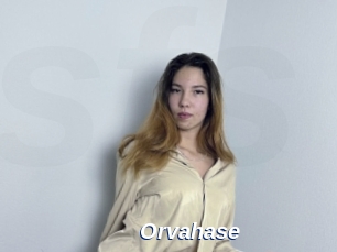 Orvahase