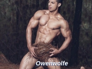 Owenwolfe