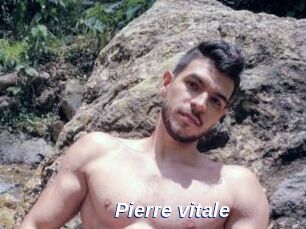 Pierre_vitale