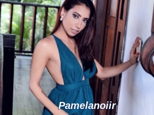 Pamelanoiir