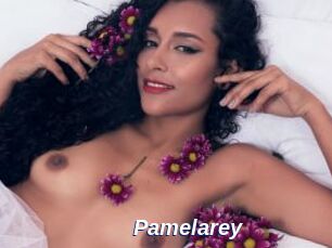 Pamelarey