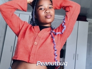 Peanutbug