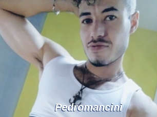 Pedromancini