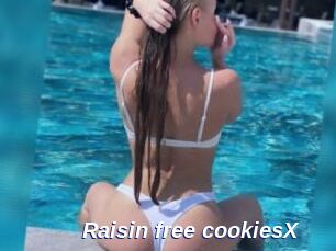 Raisin_free_cookiesX