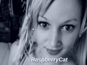 RaspberryCat