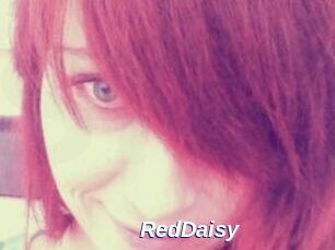 RedDaisy