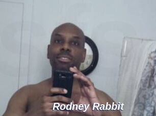 Rodney_Rabbit