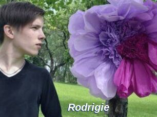 Rodrigie