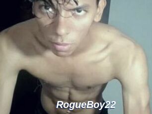 RogueBoy22