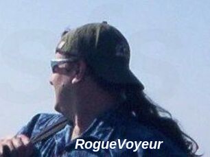 RogueVoyeur