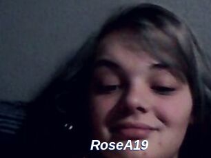 RoseA19