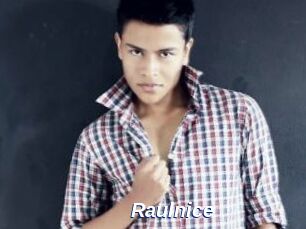 Raulnice