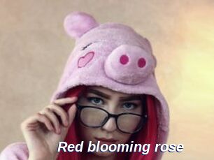 red_blooming_rose Safer Sex