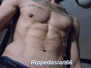 Rippedasian66