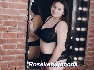 Rosaliebigboobs