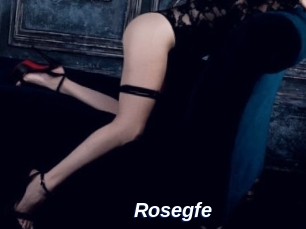 Rosegfe