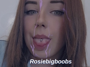 Rosiebigboobs