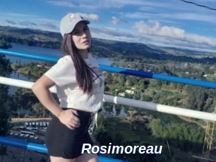 Rosimoreau