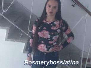 Rosmerybosslatina