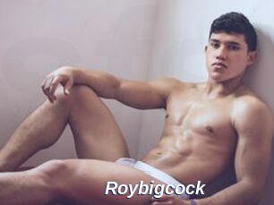 Roybigcock