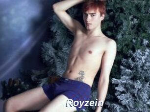 Royzein