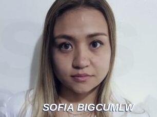 SOFIA_BIGCUMLW