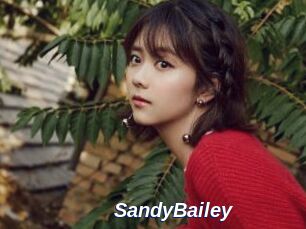 SandyBailey