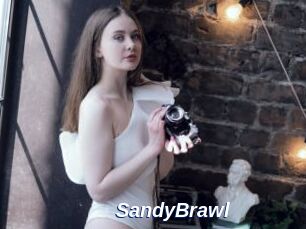 SandyBrawl