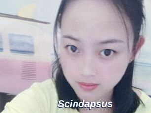 Scindapsus