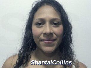 ShantalCollins