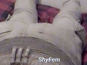 ShyFem