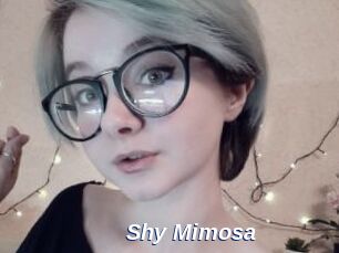 Shy_Mimosa